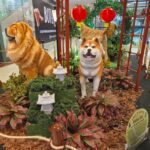 ShoppingSantaÚrsula reúne atração inspirada no universo dos pets durante as férias